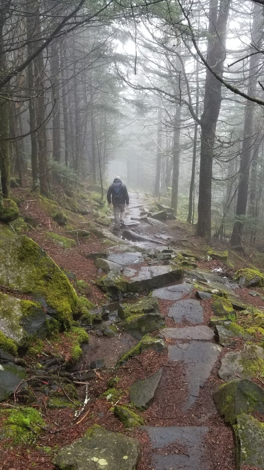 Abrahms Bald Hike 